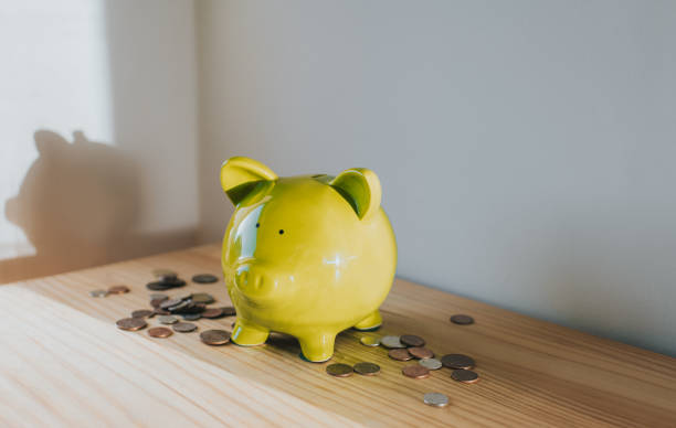 How to Build a Long Credit History Without Babysitting Your Credit
